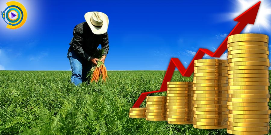 گرایش های ارشد اقتصاد کشاورزی