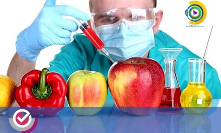 حداقل درصد دروس و آخرین رتبه قبولی صنایع غذایی آزاد 98