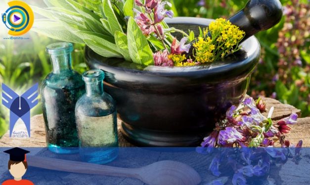 زمان و شرایط ثبت نام کاردانی به کارشناسی بدون کنکور آزاد گیاهان دارویی 98